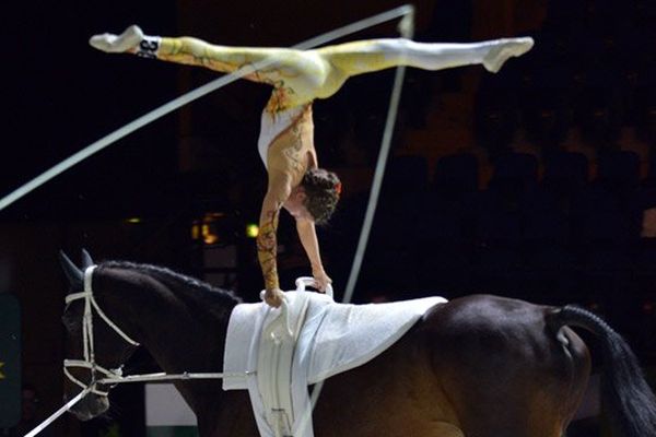 Jeux Equestres Mondiaux Reprise de Voltige - Zénith de Caen 3 septembre 2014