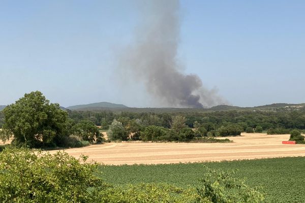 Le panache de fumée de l'incendie de Guzargues (Hérault) peut être vu des kilomètres à la ronde. Il est parti d'un véhicule.