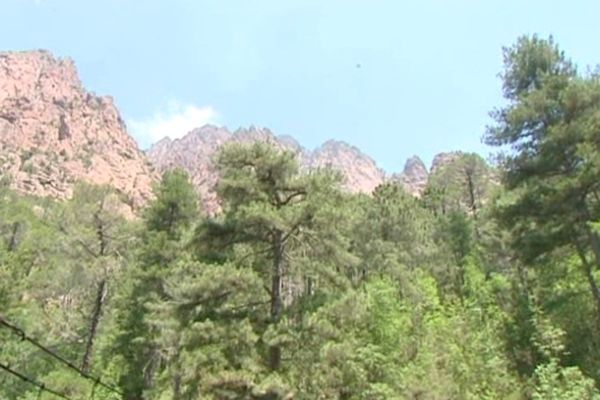 Le Parc Naturel Régional de Corse. 