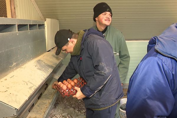 Une vingtaine de jeunes effectuent des activités et petits travaux agricoles dans le cadre du projet  Bercail Paysan.