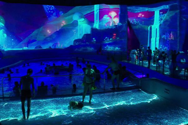 En plus de réussir ses premiers mois en matière de fréquentation, l'Aquascope, le parc aquatique du Futuroscope vient d'être élu meilleur parc aquatique du monde.