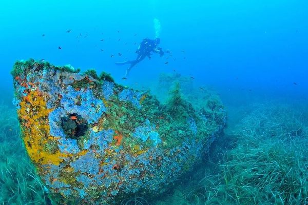 La canonnière de Folelli fait partie des plus belles épaves sous-marines de Corse, selon les membres de Corse images sous-marines.