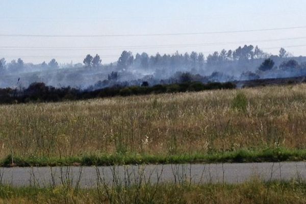 Laure-Minervois (Aude) - un incendie a détruit 25 hectares de pinède - 17 juillet 2014.