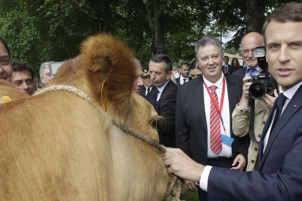 Emmanuel macron, en juin 2017, lors d'un déplacement à Verneuil-sur-Vienne