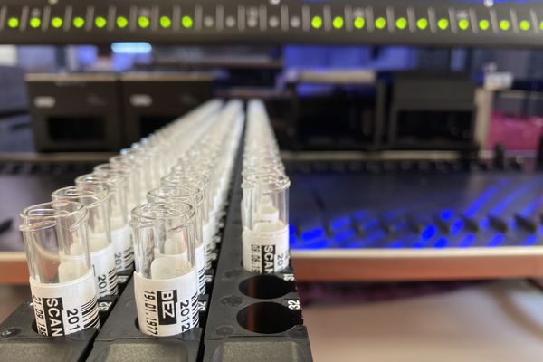 Dans les laboratoires Bioxa de la Marne, le nombre de tests à analyser se multiplie.