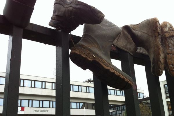 Une cinquantaine d'éleveurs ont exprimé le malaise de la profession ce jeudi devant la préfecture des Côtes-d'Armor