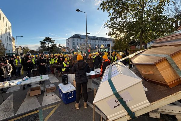 Plus de 150 agriculteurs et 80 tracteurs ont campé dans le centre-ville d’Orléans ce jeudi 28 novembre 2024 pour manifester leur colère.