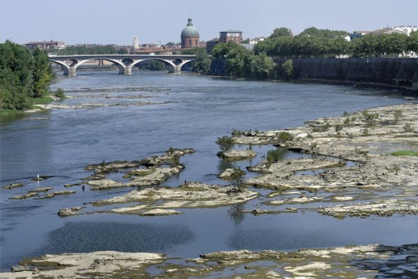 A Toulouse, la Garonne est à son plus bas niveau connu depuis 60 ans en été.