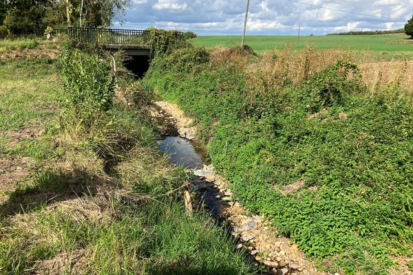 Seulement quelques centimètres d'eau coulent le long de la rivière la Luire, passant à Coussay-les-Bois (Vienne).