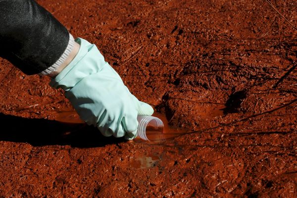 La société Altéo va devoir analyser la composition de l'eau d'une résurgence de son centre de stockage de boues rouges sur le plateau de Mange Garri, à Bouc Bel Air. Ici, prélèvement d'eau dans un puits par une journaliste indépendante