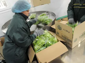 Bonduelle abandonne son activité de salades en sachet, jugée trop peu rentable.