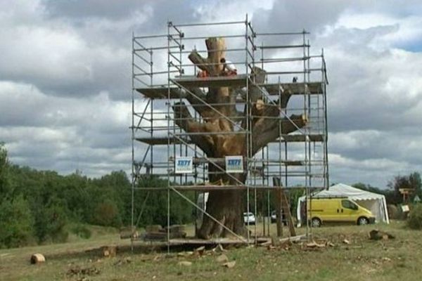 L'arbre monumental va retrouver une seconde jeunesse