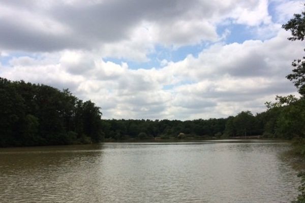 Le lac de la Bordette, dans la forêt de Bouconne.