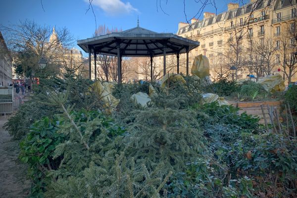 176 points de collecte de sapins sont ouverts à Paris cette année. (Illustration)