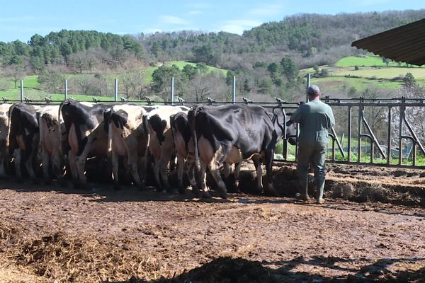 Jean-Pierre Brousse, éleveur laitier de Corrèze, appelle à plus de discussions avec la profession agricole. "On n'est pas contre le changement, mais il faut une stratégie de la Région avec les agriculteurs."