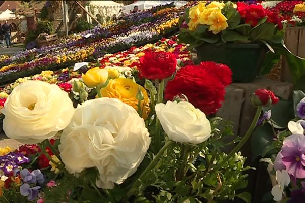 Salon du jardin de Senlis en 2019