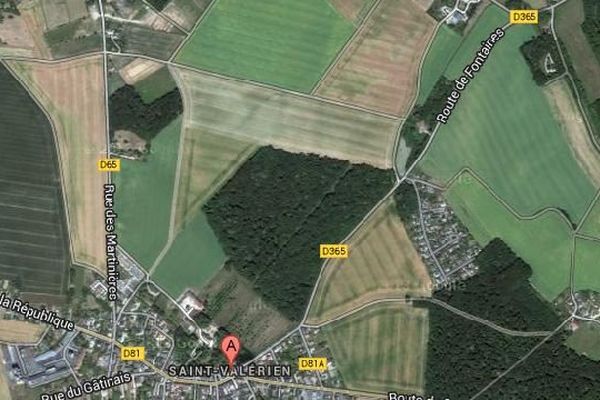 Un incendie a détruit 15 hectares de blé à Saint-Valérien, dans l'Yonne, mercredi 23 juillet 2014.