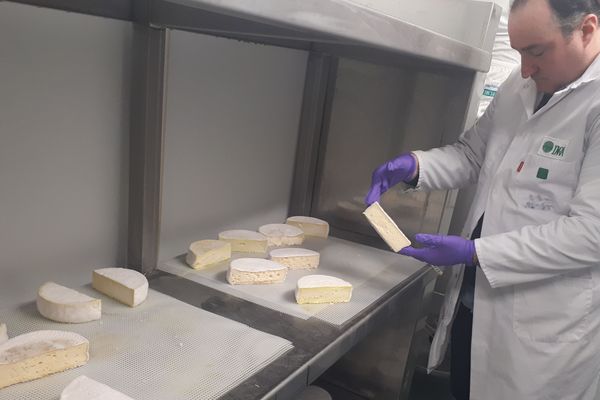 La cave d'affinage permet de contrôler tous les paramètres de maturation des fromages tests.