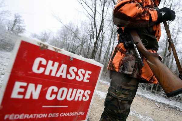 Photo illustration d'une partie de chasse à Blénod-lès-Toul, le 4 février 2018.