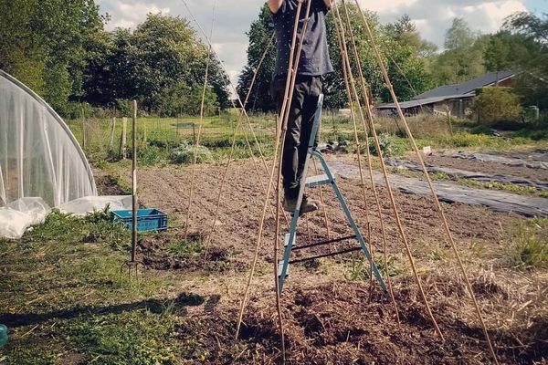 Baptiste Corbot pratique le maraîchage sur sol vivant dans son potager situé à Houlle dans le Pas-de-Calais.