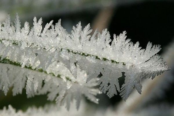 Nice crystals of water 