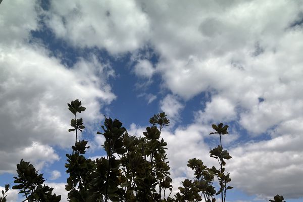 Une matinée ensoleillée qui demeure dans une atmosphère froide, avec quelques nuages dans l'après-midi et un mardi pluvieux.