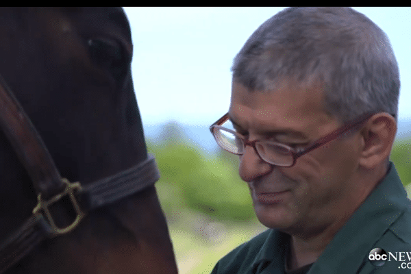 "Ce cheval est mon alpha" explique ce condamné pour trafic de drogue.