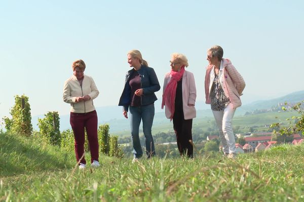 Les marcheurs pourront grimper jusqu'au château du Haut-Koenigsbourg au départ de six communes, dans le Bas-Rhin et le Haut-Rhin.