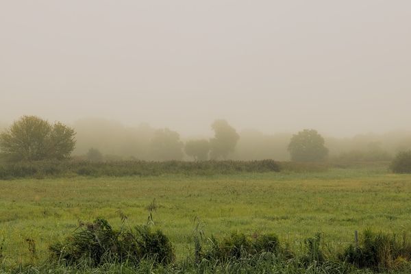 Brouillard sur notre mardi matin