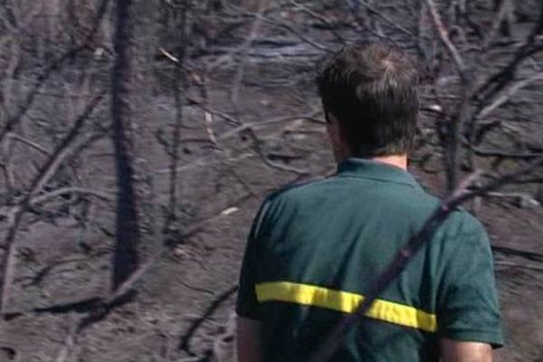 Comme à chaque fois depuis les grands incendies de 2003, elle est menée par la cellule Recherches des Causes et Circonstances des Incendies. 