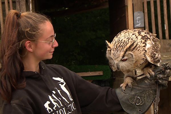 Célia s'occupe des animaux du Parc sauvage depuis sa création en 2019.