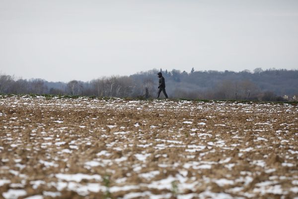 Plan grand froid en Île-de-France.