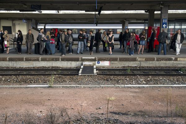 La circulation des trains a été stoppée jusqu'à 17h30 entre Mulhouse et Altkirch, suite à un accident de personne, mardi 16 mai 2023.