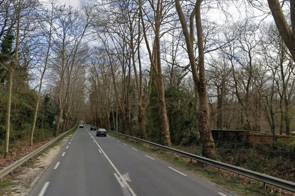 L'automobiliste a percuté avec sa voiture un arbre bordant la D1113 à Saint-Médard-d'Eyrans (Gironde), à l'entrée de l'agglomération bordelaise.