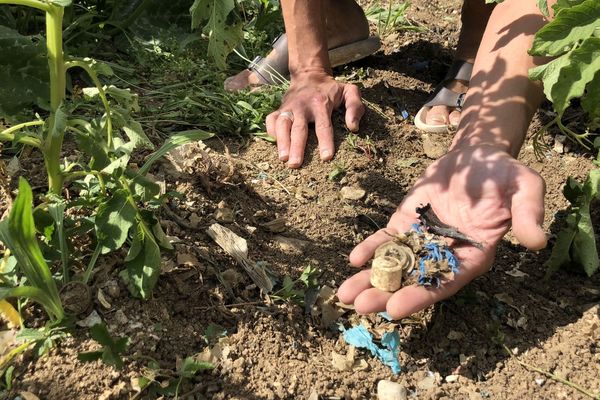 Autour de la maison des micro-déchets 