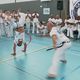 La capoeira est apparue au XVIe siècle.