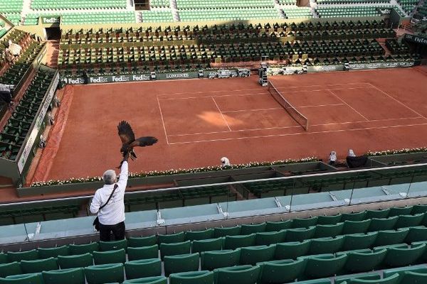 Des rapaces landais à Roland-Garros