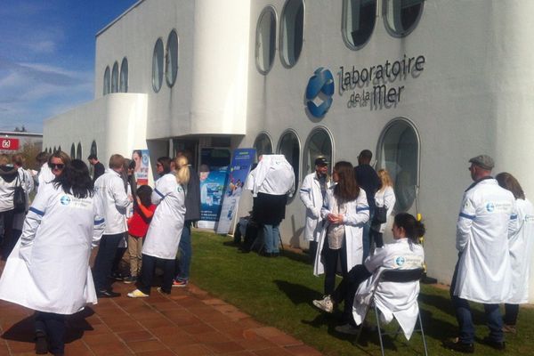 Les salariés du laboratoire de la mer Physiomer se mobilisent après l'éviction de leur directeur