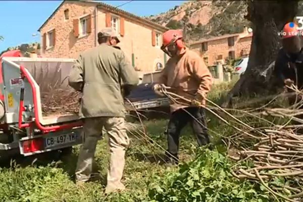 Broyage de déchets verts à Afà