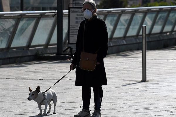 Une femme promène son chien pendant le confinement à Montpellier.