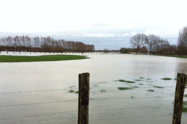 Les champs restaient largement engorgés aujourd'hui, à Calonne-sur-la-Lys.