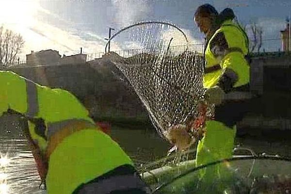 Les 32 km du canal de la Robine sont nettoyés au moins deux fois par mois par la ville de Narbonne - janvier 2016