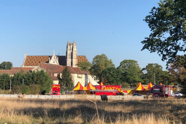 Le cirque Zavatta indésirable à Bourg-en-Bresse