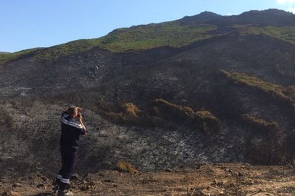 Même si l'incendie de Barbaggio ne progresse plus, il fait toujours l'objet d'une surveillance attentive de la part des 120 hommes mobilisés sur place.