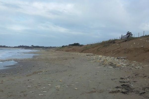 Avec les tempêtes hivernales et les prochaines grandes marées, la dune de Domino devrait encore reculer.