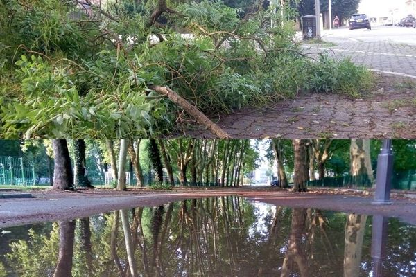 À Strasbourg, de nombreux branchages jonchaient samedi matin les trottoirs, et de l'eau étaient encore accumulée sur les chaussées.