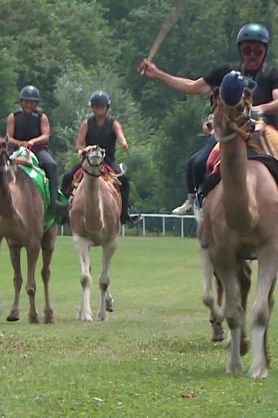 Plusieurs milliers de spectateurs ont assisté à des courses de dromadaires ce dimanche 4 août à Aix-les-Bains, en Savoie.