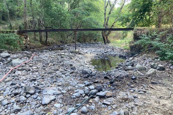 Face à l'assèchement des cours d'eau qui s'aggrave, le Cantal et l'Allier ont pris de nouvelles mesures de restrictions d'eau