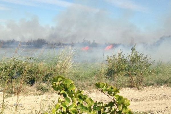 Le feu a pris dans des broussailles au bord de l'étang