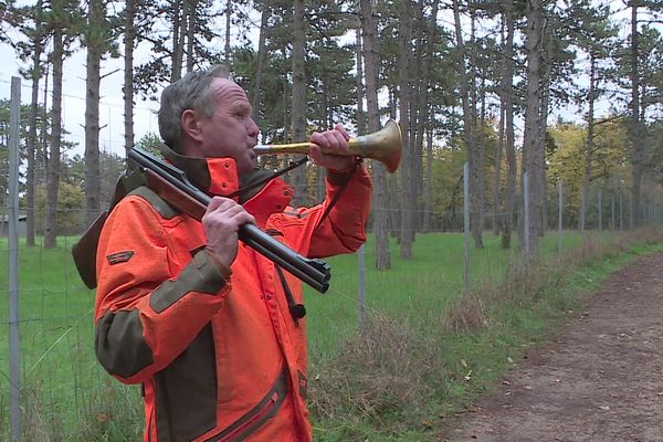 L'action de chasse menée ce mardi à la Combe à la Serpent vise à réguler la population de sangliers du secteur (images d'archives 22 novembre 2022)